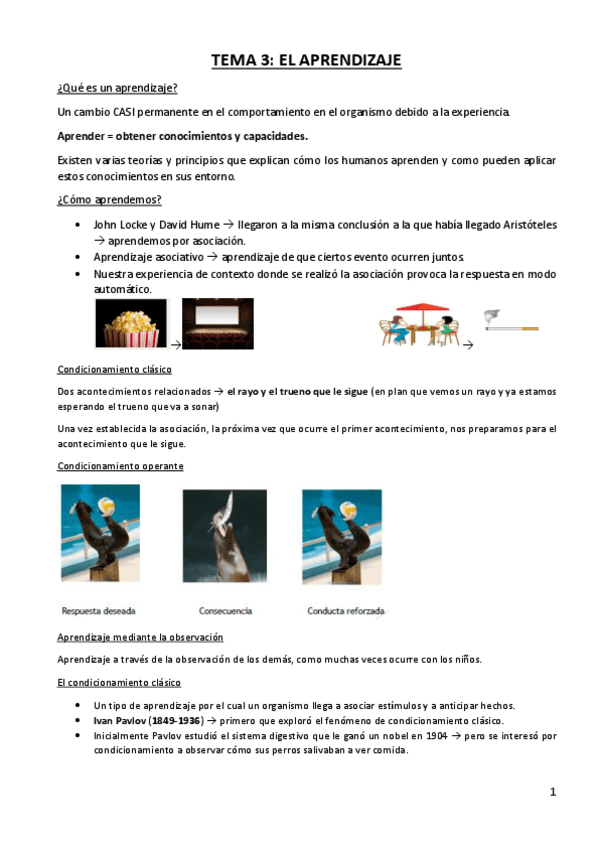 Miniatura del documento TEMA-3-EL-APRENDIZAJE.pdf