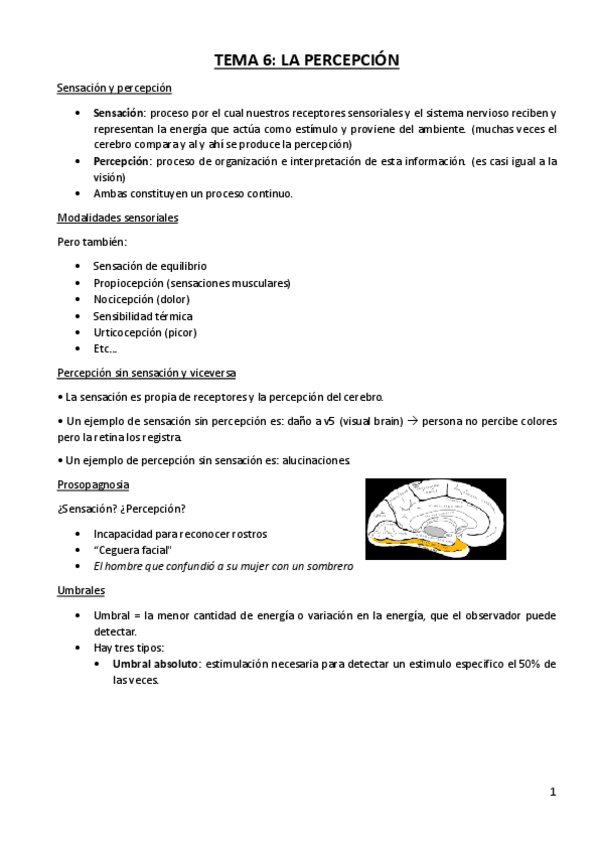 Miniatura del documento TEMA-6-LA-PERECEPCION.pdf