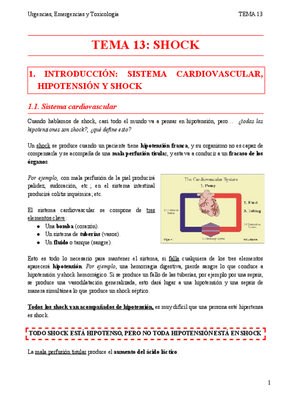 Miniatura del documento TEMA-13.pdf