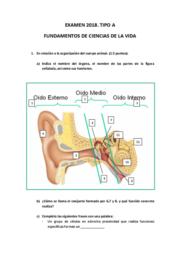 Miniatura del documento EXAMEN-2018.pdf