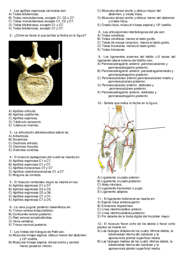 Miniatura del documento Seleccion01.pdf