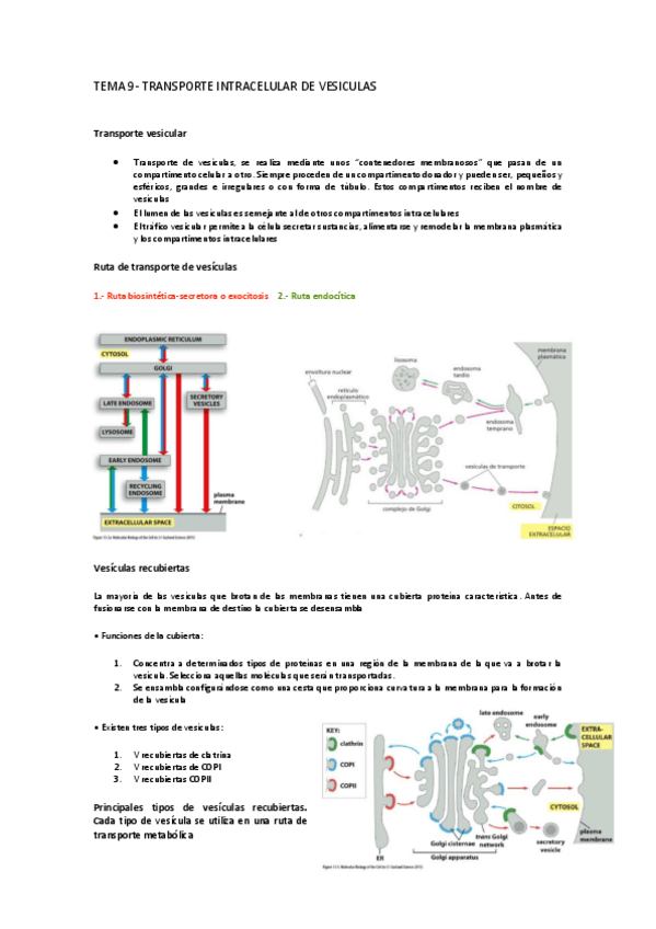 Miniatura del documento Tema-9-bio.pdf