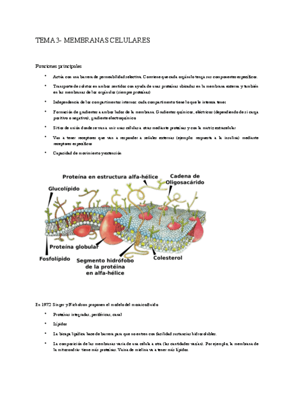 Miniatura del documento Tema-3-bio.pdf