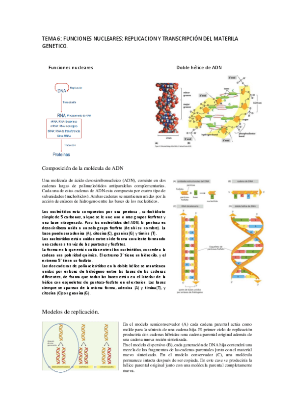 Miniatura del documento Tema-6-bio.pdf