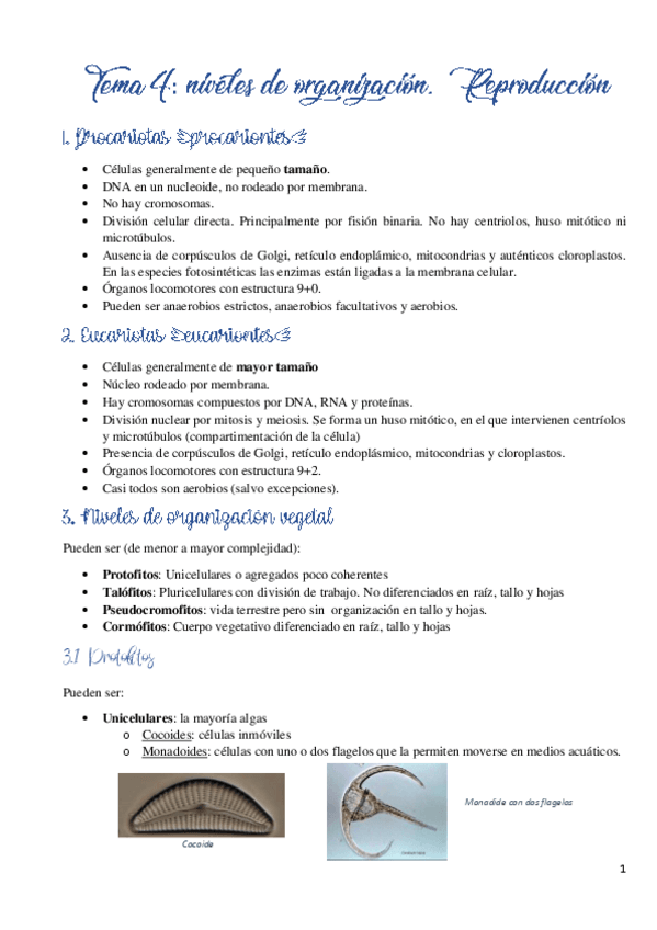 Miniatura del documento Tema-4.pdf