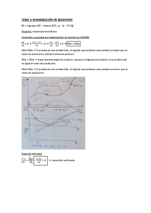 Miniatura del documento TEMA 3.pdf
