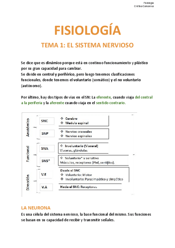Miniatura del documento Fisiologia-primer-cuatri-1o.pdf