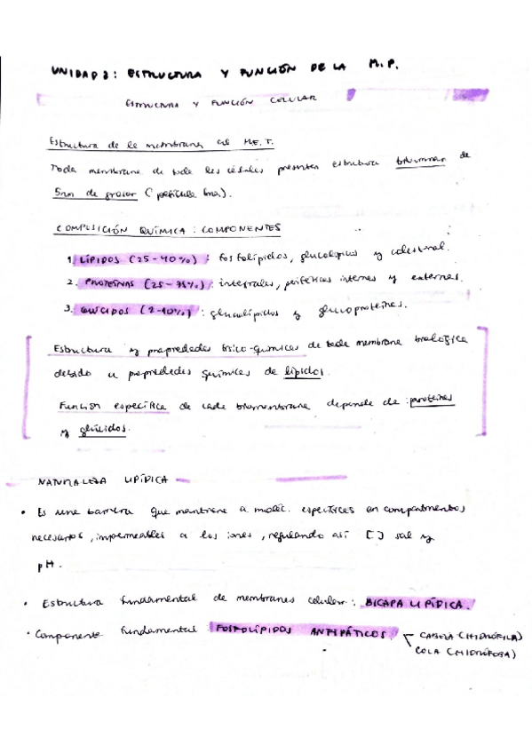 Miniatura del documento Unidad-2-Estructura-y-funcion-de-la-membrana-plasmatica.pdf