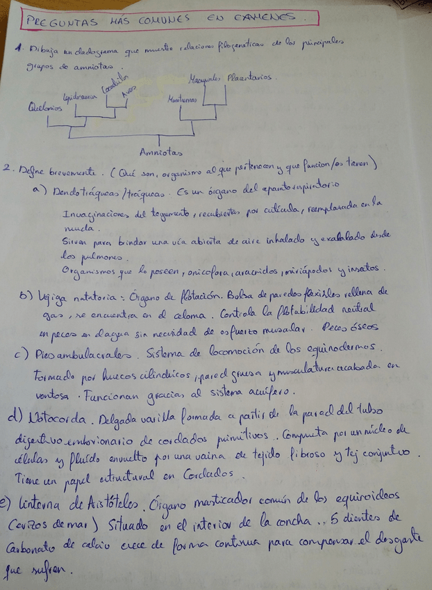 Miniatura del documento 20160702_195828.jpg