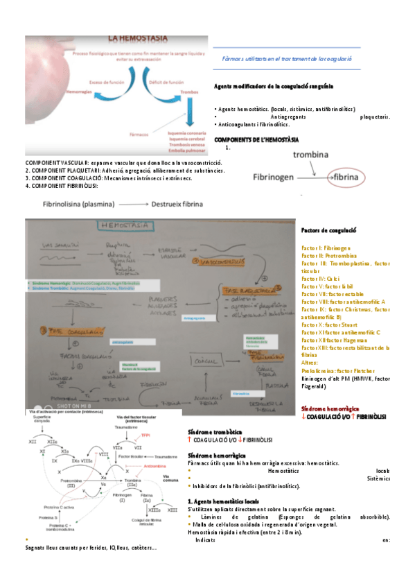 Miniatura del documento FARMACO-EXAMEN-FINAL.pdf