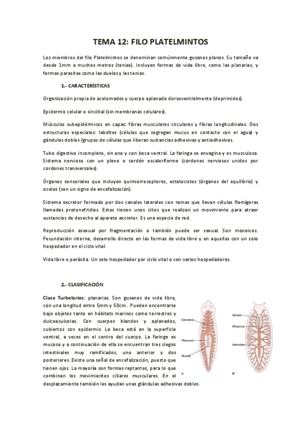 Miniatura del documento Apuntes-zoologia-2-parte-1.pdf