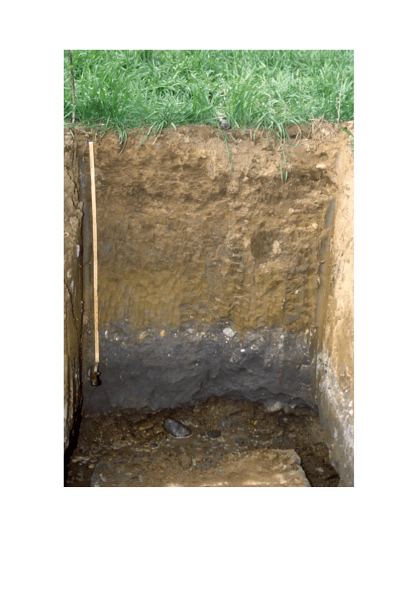 Miniatura del documento edafologia-trabajuniiiii.pdf