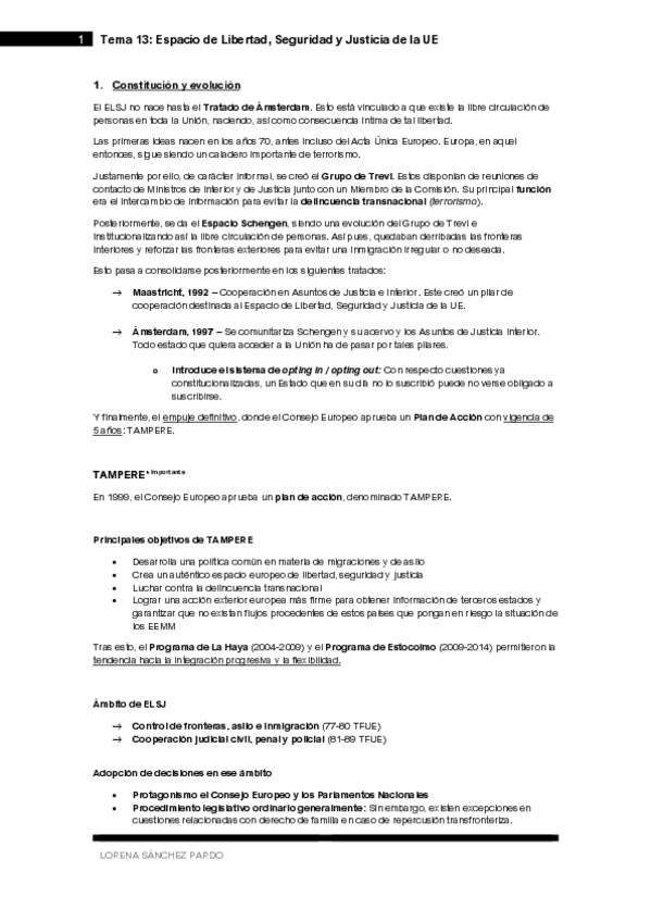 Miniatura del documento Tema-13-Espacio-de-Libertad-Seguridad-y-Justicia-de-la-UE.pdf