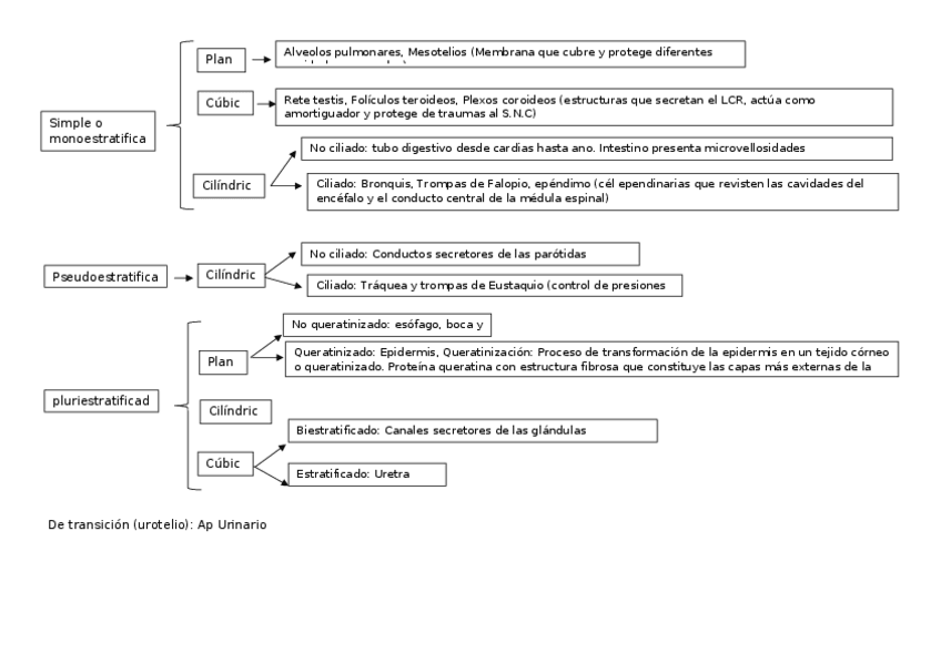 Miniatura del documento esquema-tejidos.docx