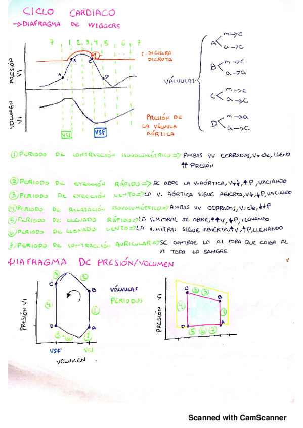 Miniatura del documento Fisiologia-Apuntes.pdf