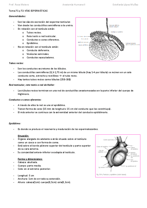 Miniatura del documento TEMA-71-Y-72-VIAS-ESPERMATICAS-subir.pdf