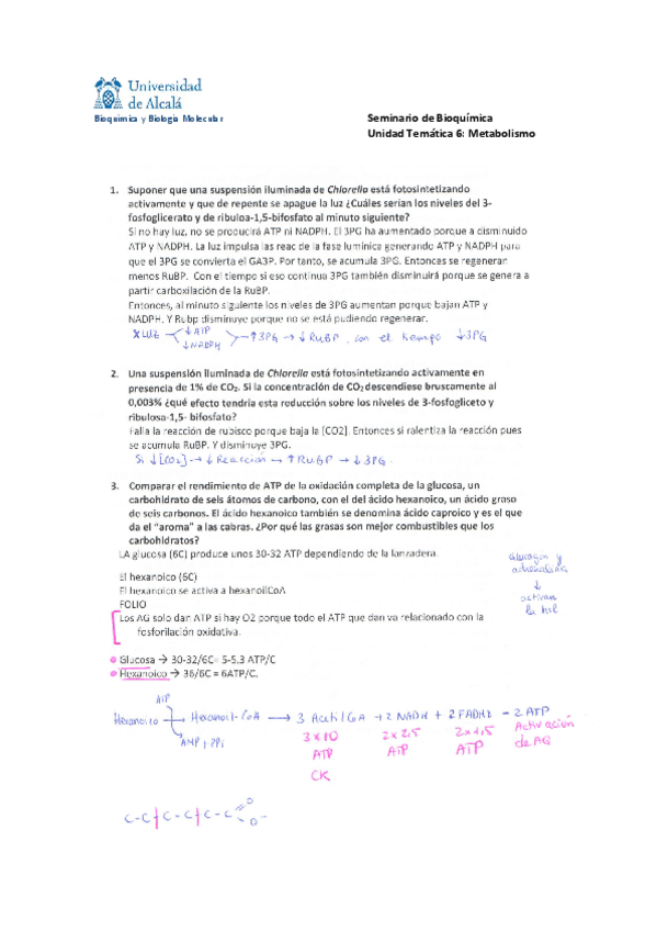 Miniatura del documento Seminario-6.pdf