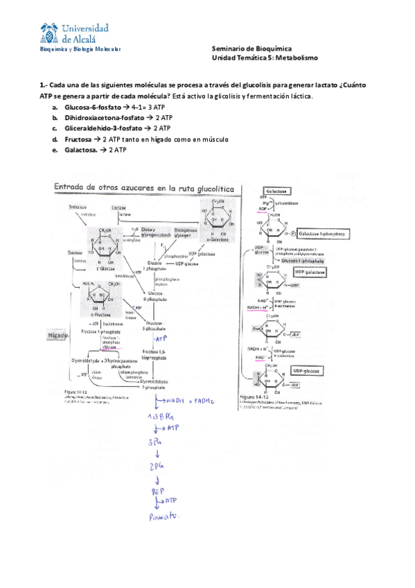 Miniatura del documento Seminario-4.pdf