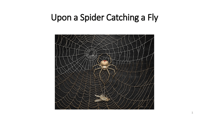 Miniatura del documento Upon-a-Spider-Catching-a-Fly.pdf