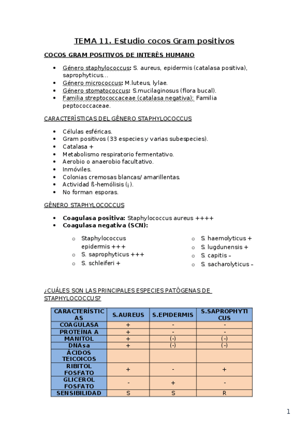 Miniatura del documento MICRO-2o-parte.docx