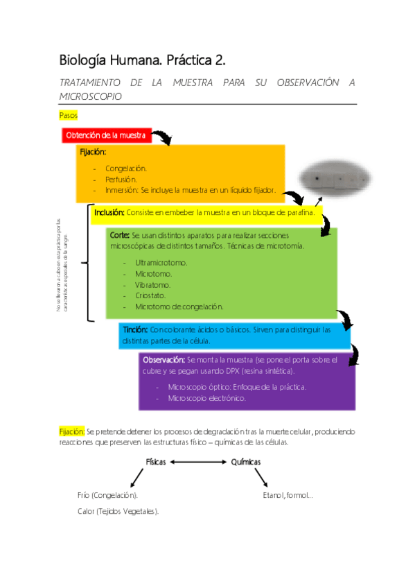 Miniatura del documento Biologia.pdf