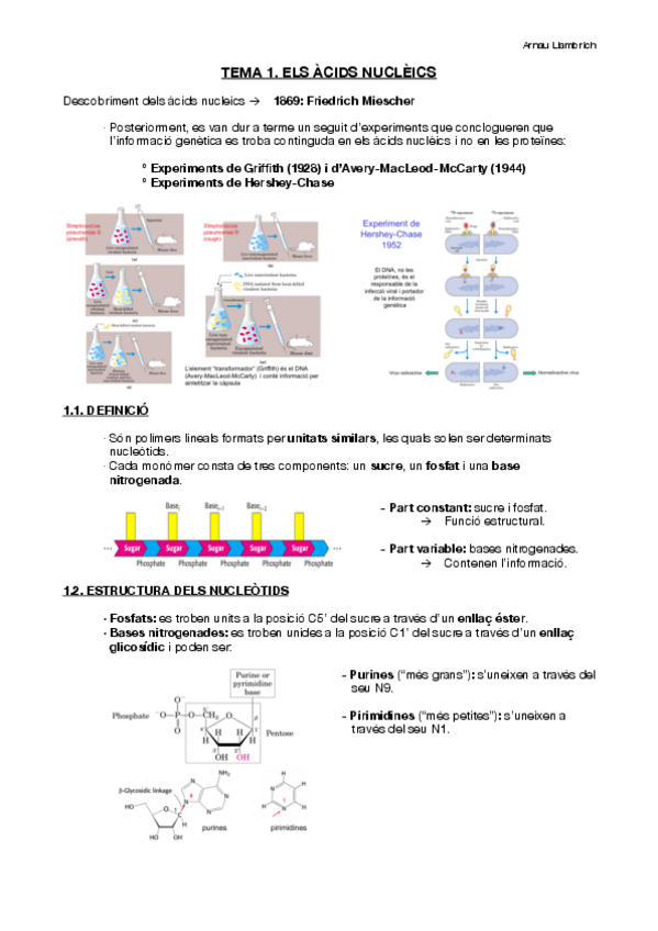 Miniatura del documento Apunts-Biologia-Molecular-i-Genomica-Tema-1.pdf