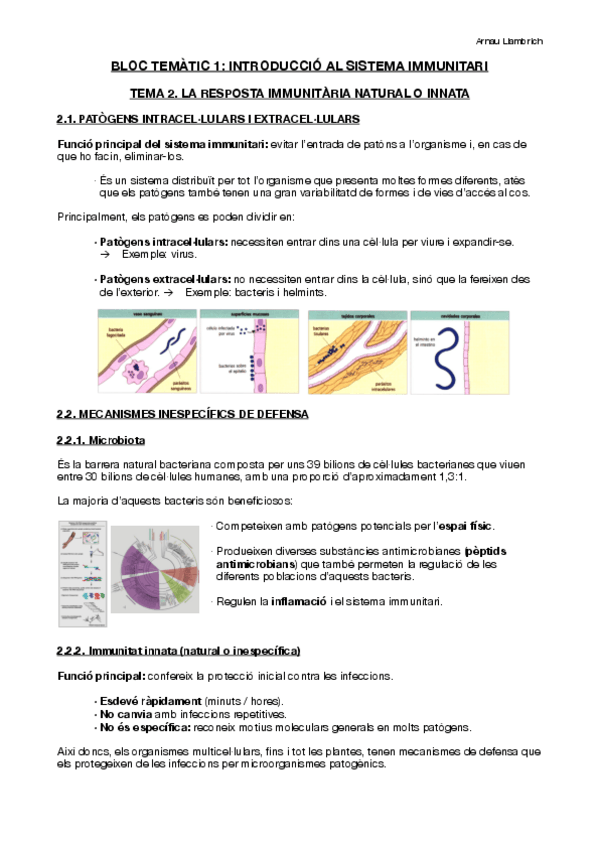 Miniatura del documento Apunts-Immunologia-Tema-2.pdf
