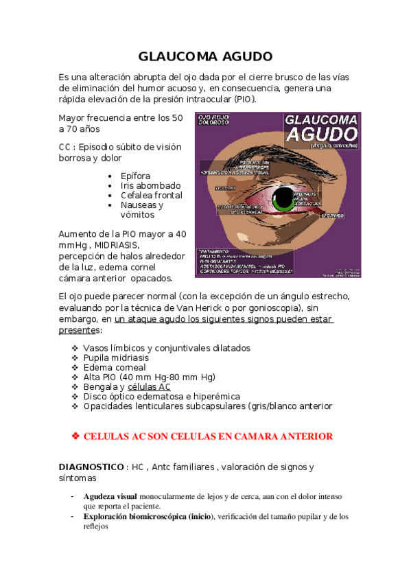 Miniatura del documento transcripcion-oftalmo.docx