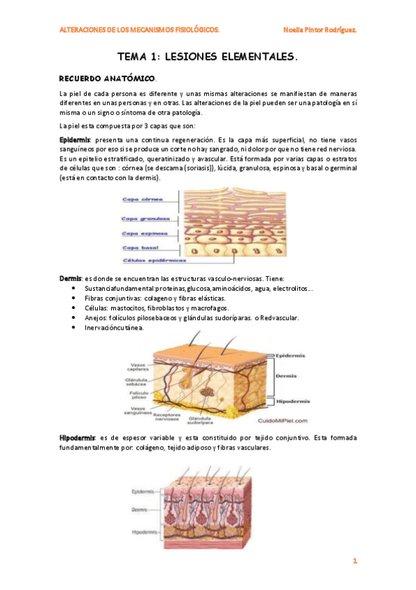 Miniatura del documento Tema-1.pdf