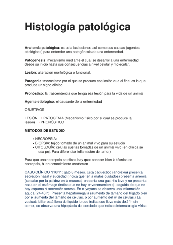 Miniatura del documento 1.docx