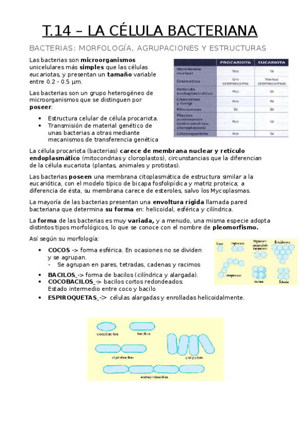 Miniatura del documento Tema-14.docx