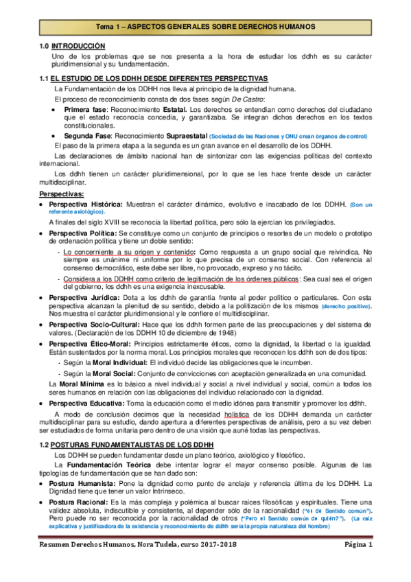 Miniatura del documento Resumen-DDHH.pdf