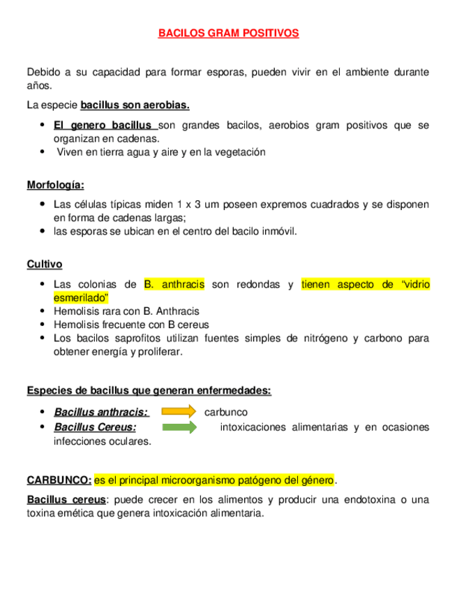 Miniatura del documento BACILLUS.docx