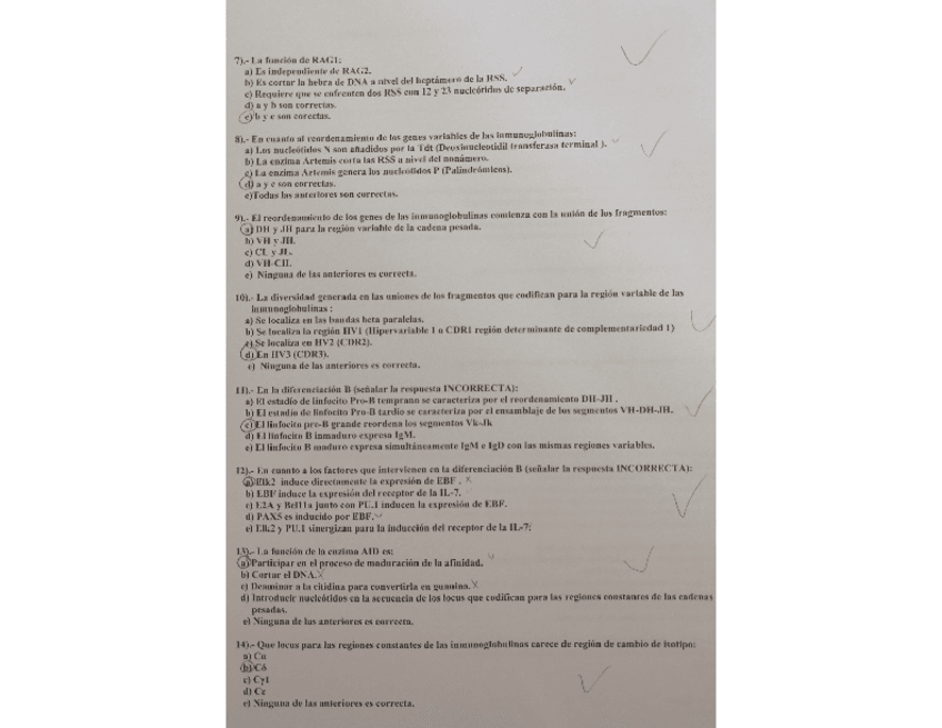Miniatura del documento Examen-corregido.pdf