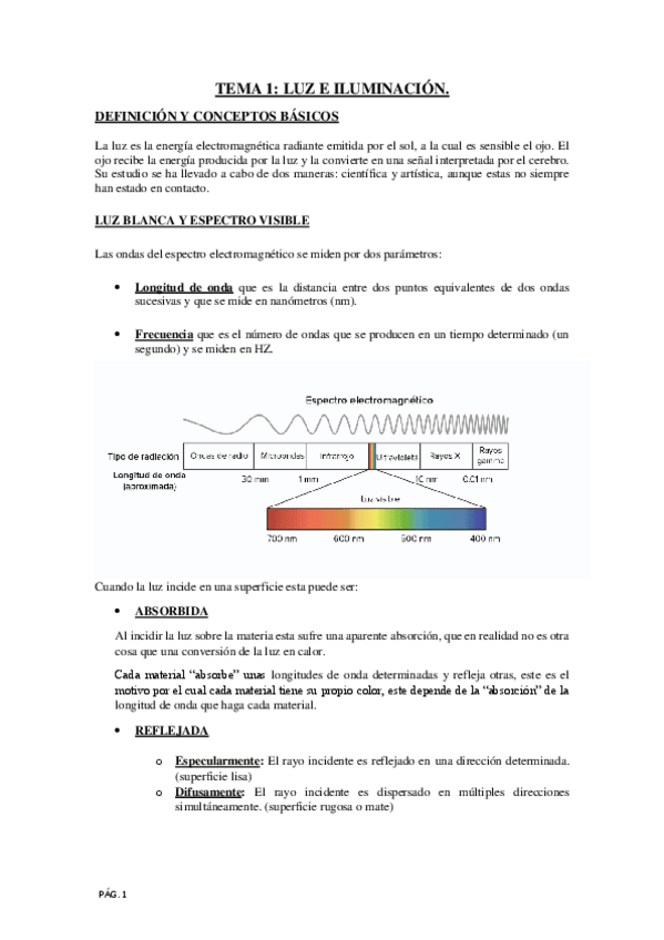 Miniatura del documento ApuntesREALIZACION.pdf
