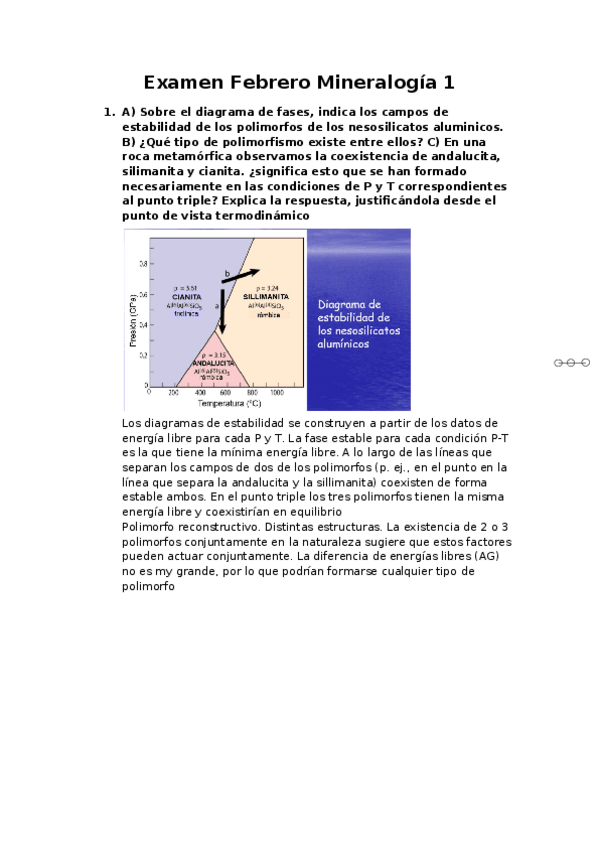 Miniatura del documento examen-mine-I-Febrero.docx