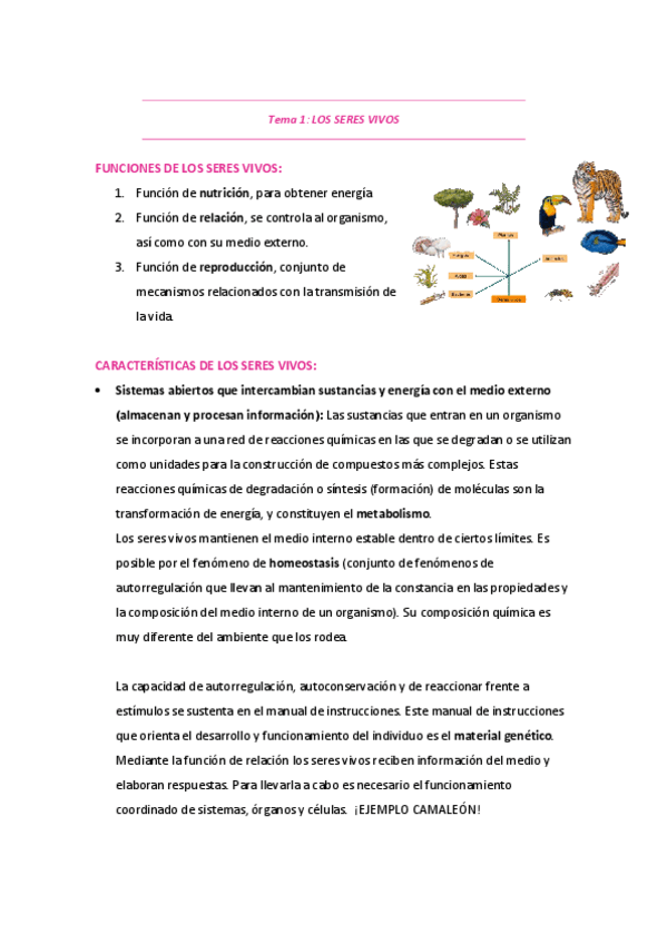 Miniatura del documento TEMA-1-RESUMEN.pdf