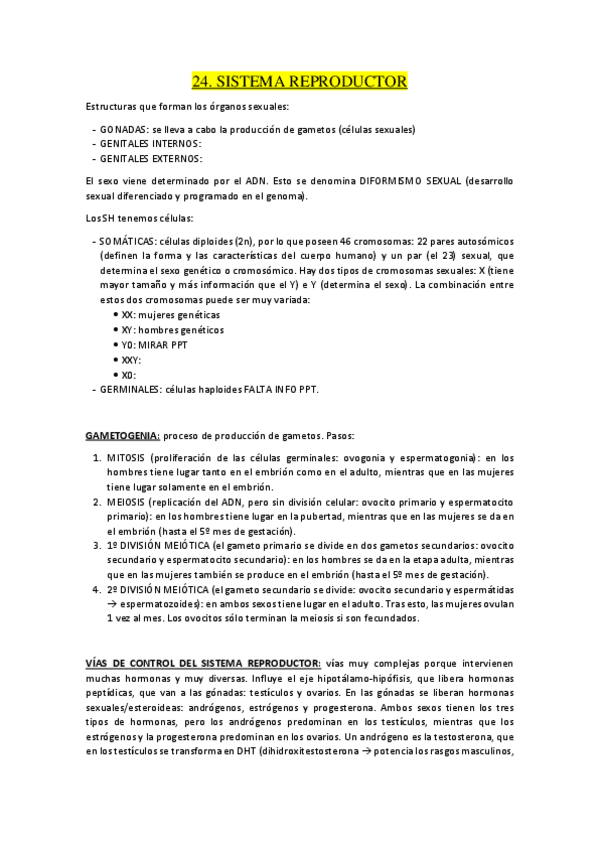 Miniatura del documento 24.pdf