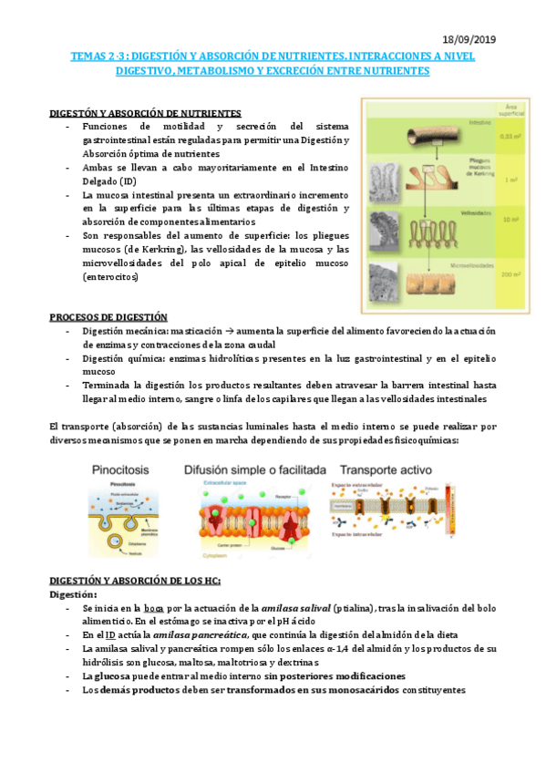 Miniatura del documento TEMA-2-y-3.pdf