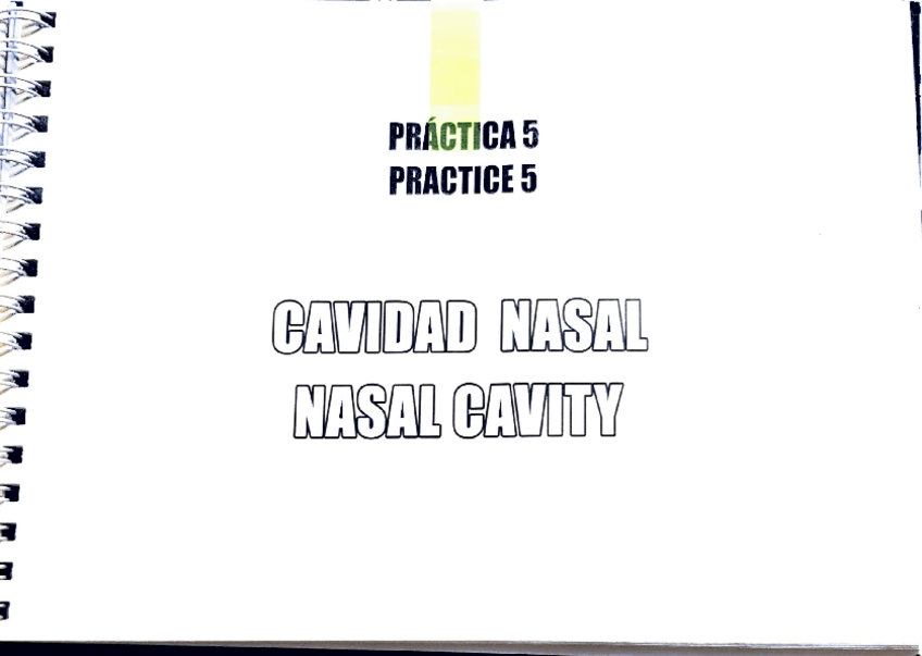 Miniatura del documento Practica-5.pdf