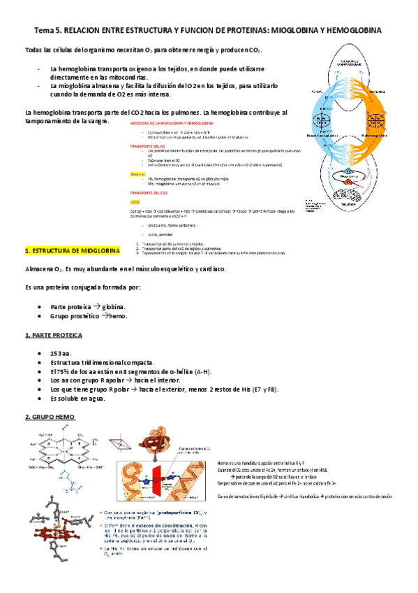 Miniatura del documento Tema5.pdf