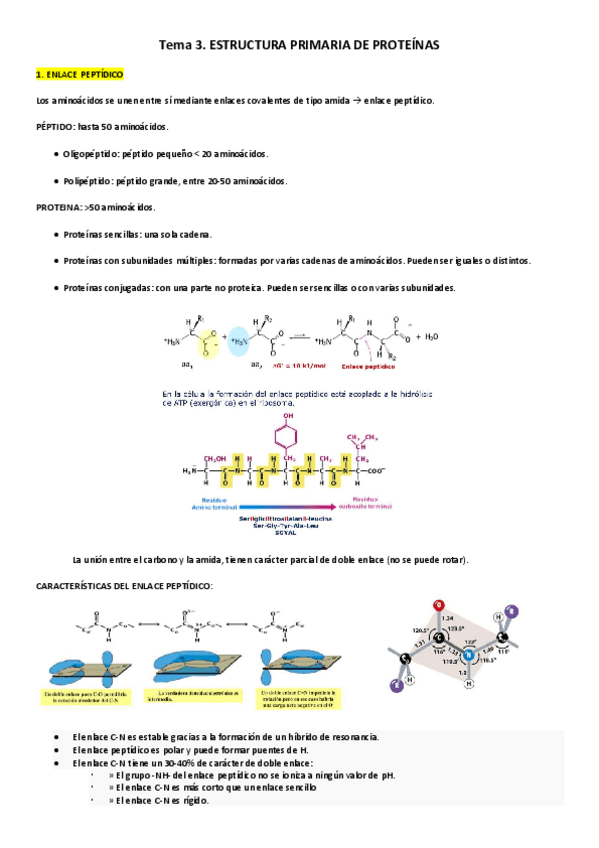 Miniatura del documento Tema3.pdf