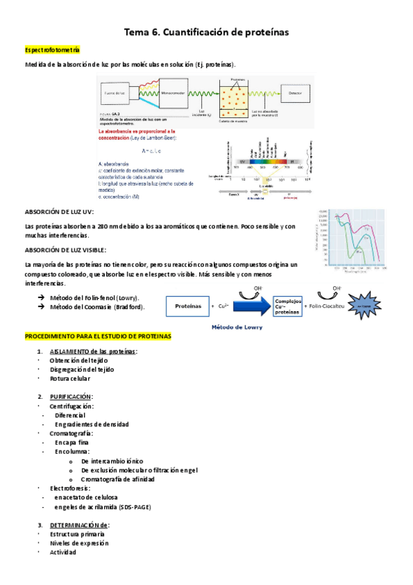 Miniatura del documento Tema6.pdf