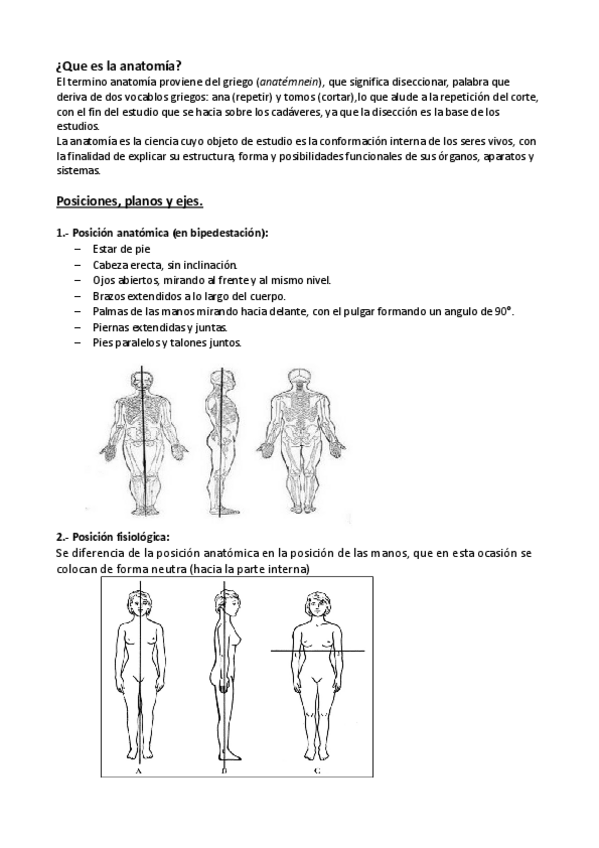 Miniatura del documento Anatomia bloque I.pdf
