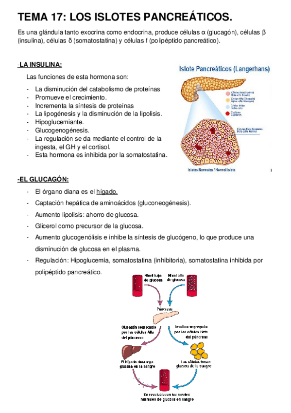 Miniatura del documento Tema-17-y-18.docx
