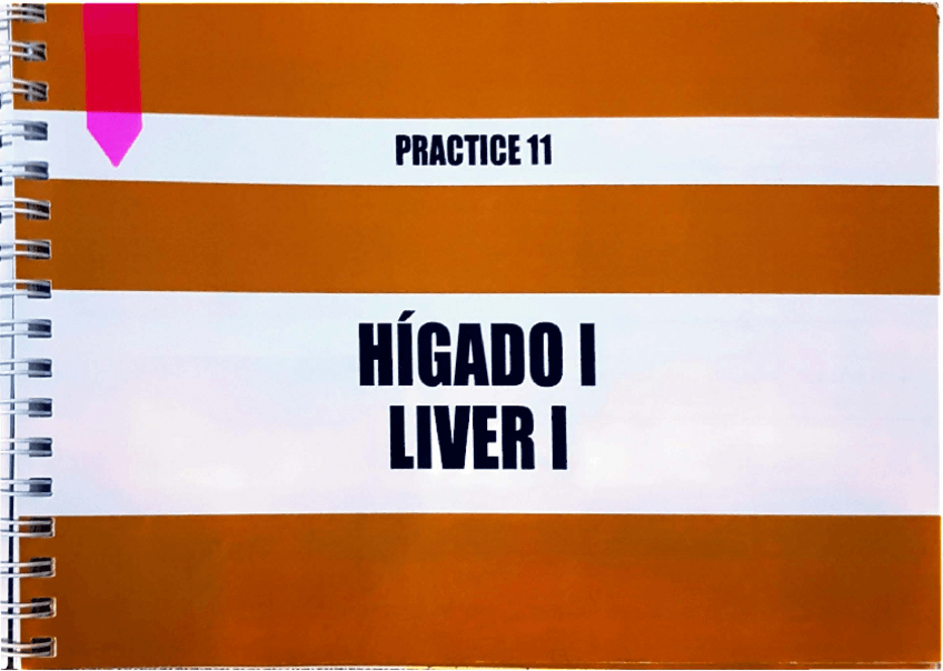 Miniatura del documento Practica-11.pdf