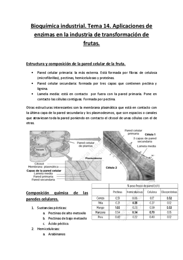 Miniatura del documento Tema-14.pdf