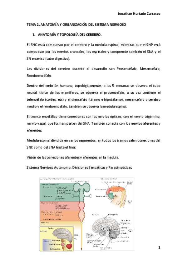 Miniatura del documento TEMA-2.pdf