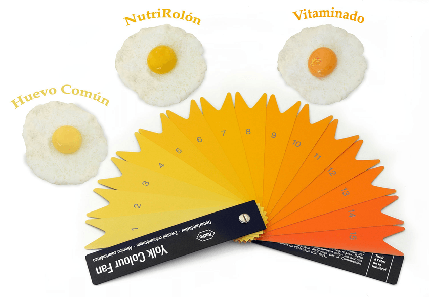 Miniatura del documento Color-de-la-yema.jpg