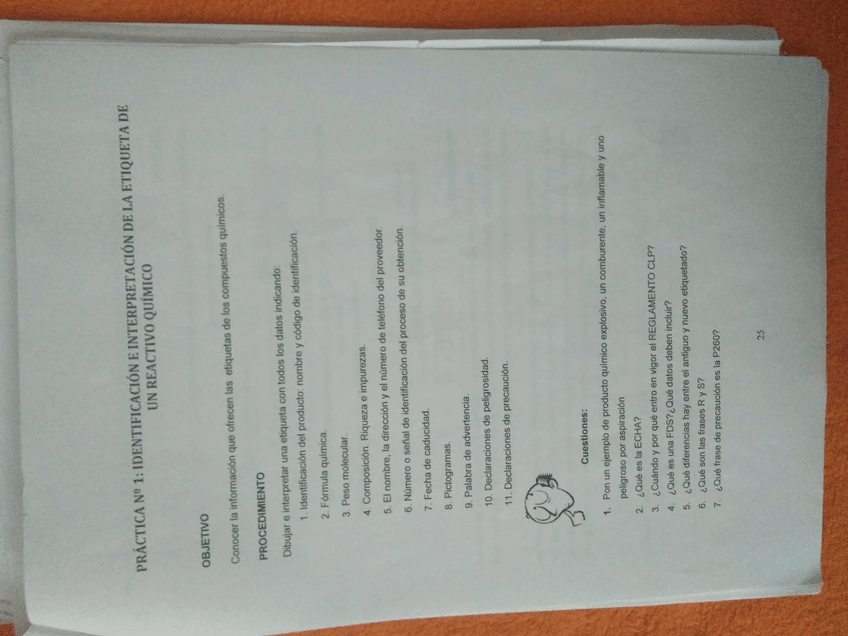 Miniatura del documento IMG-20180603-WA0017.jpg